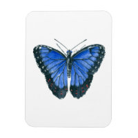 Blue Morpho butterfly watercolor painting