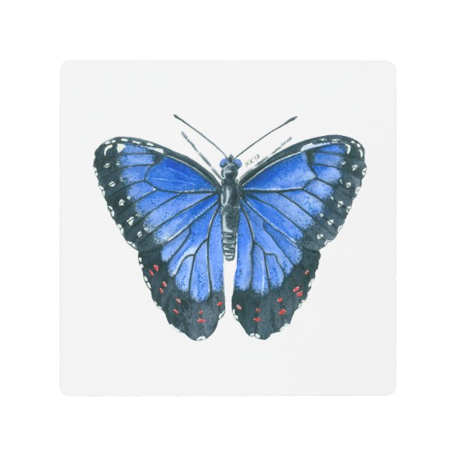 Blue Morpho butterfly watercolor painting Metal Print (Front)
