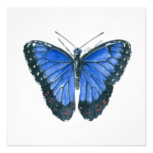 Blue Morpho butterfly watercolor painting Photo Print