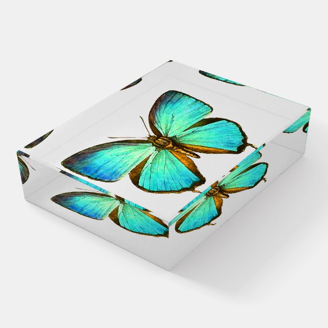 Blue Morpho Butterfly Wildlife Insects Paperweight (Angled)