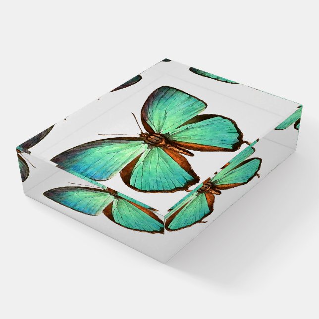 Blue Morpho Butterfly Wildlife Insects Paperweight (Angled)