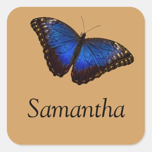 Blue Morpho Butterfly with Name Square Sticker