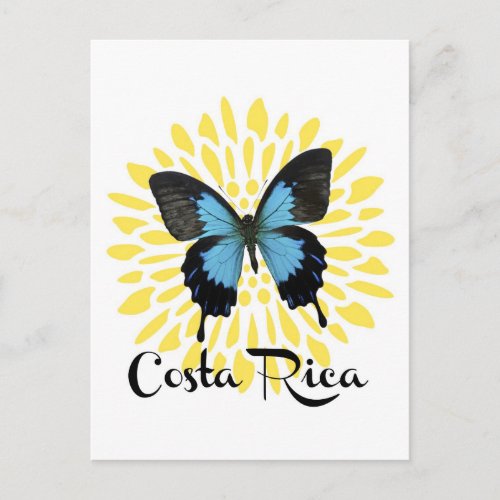 Blue Morpho Costa Rica Souvenir Postcard