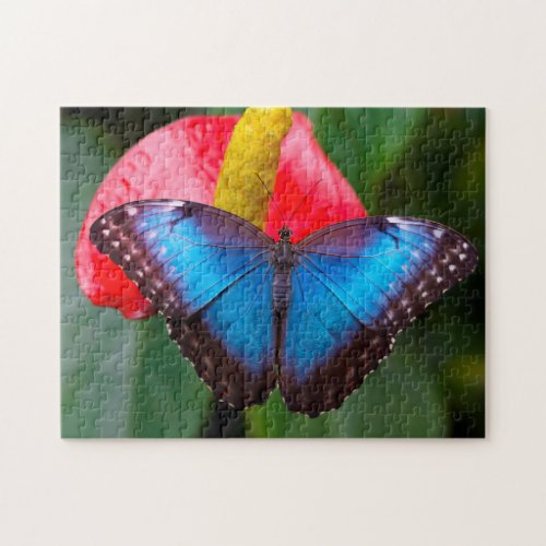 Blue Morphofalter Butterfly Jigsaw Puzzle