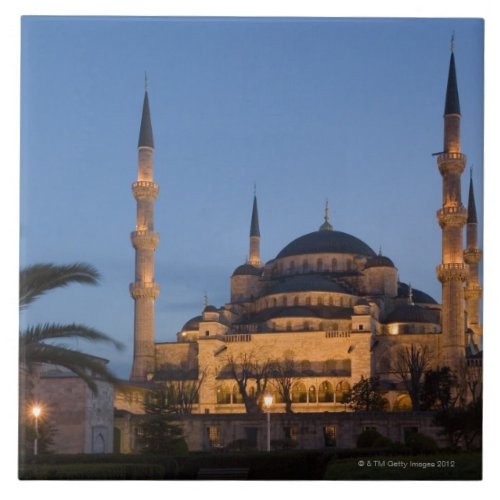 Blue Mosque Sultanhamet Area Istanbul Turkey Tile