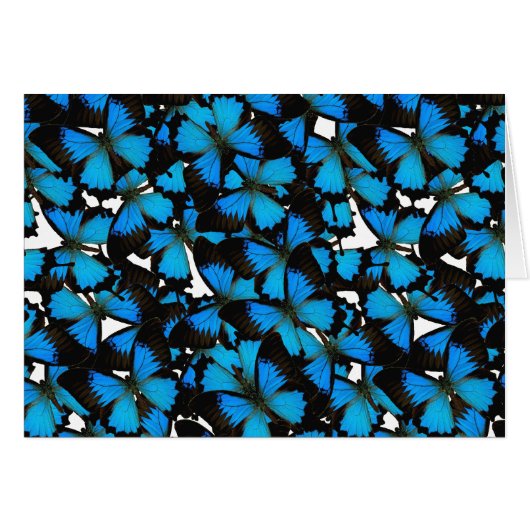 Blue Mountain Swallowtail Cards (Front Horizontal)