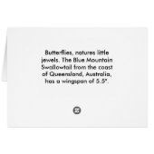 Blue Mountain Swallowtail Cards (Back Horizontal)
