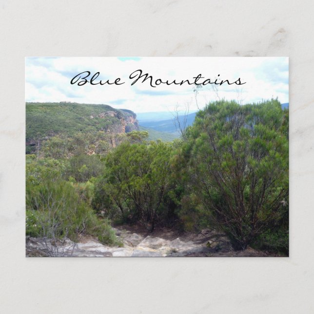blue mountains shrubs postcard (Front)