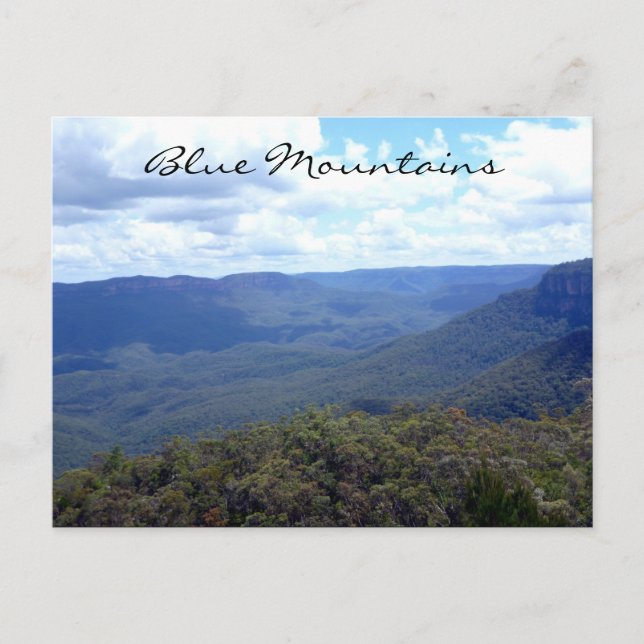 blue mountains valley postcard (Front)