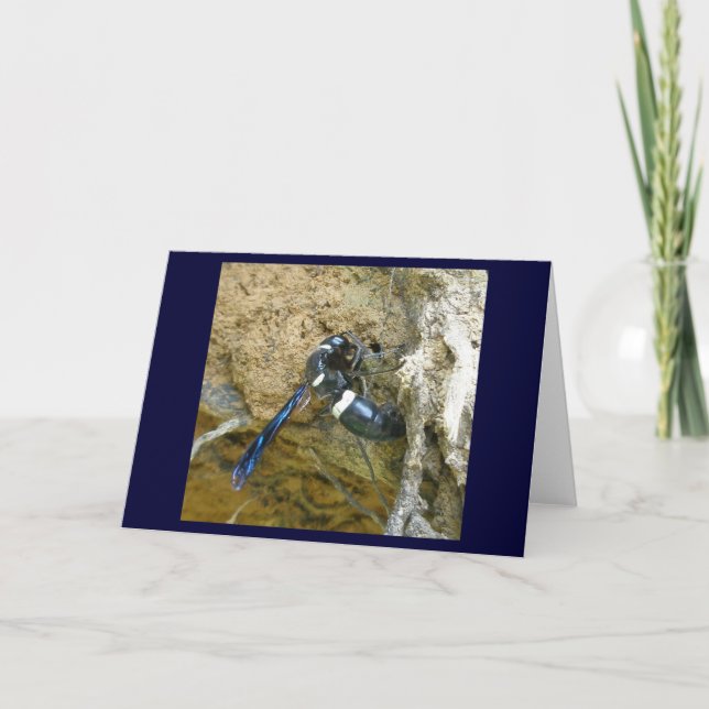 Blue Mud Dauber Wasp Note Card (Front)