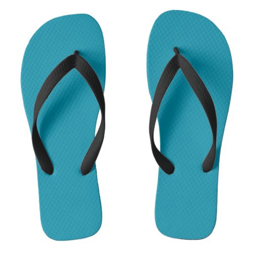 Blue Munsell  solid color   Flip Flops