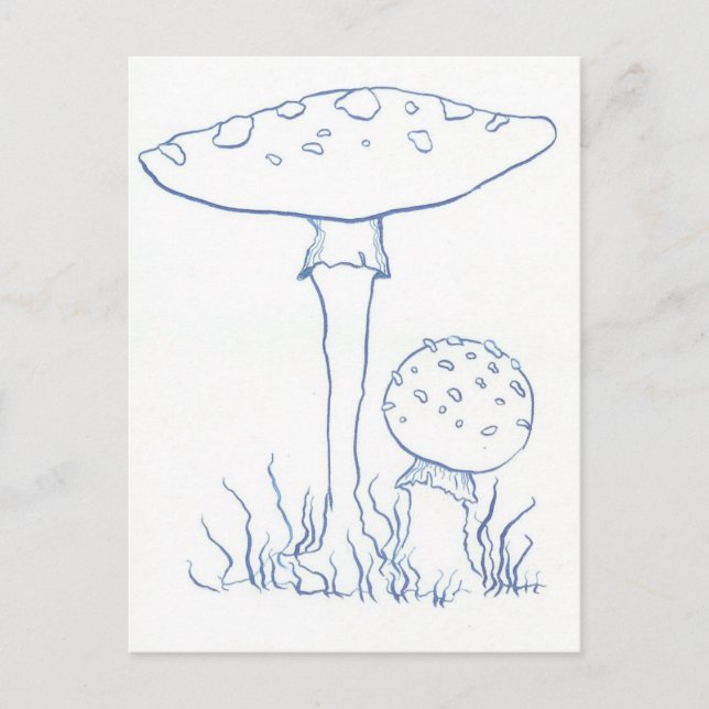 Blue Mushrooms Postcard (Front)