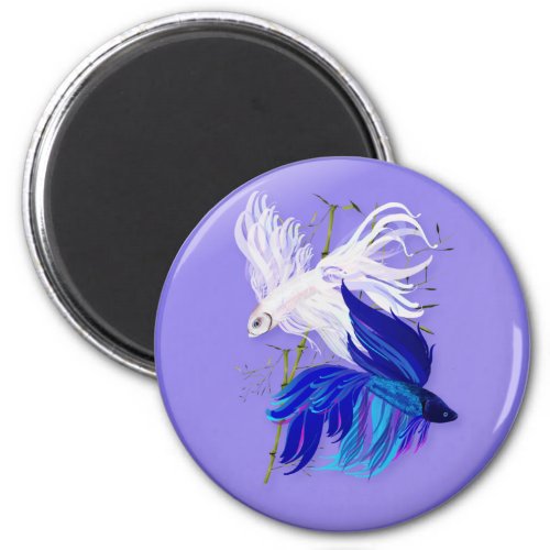 Blue n White Siamese Fighting Fish Magnets