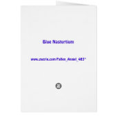Blue Nasturtium Customizable Birthday Card (Back)