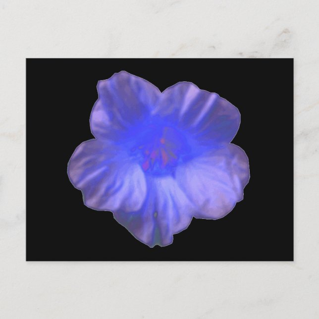 Blue Nasturtium Flower Postcard (Front)