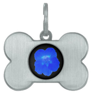 Blue Nasturtium Pet Tag