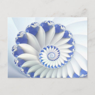 Blue Nautilus Postcard