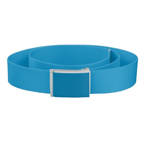 Blue NCS solid color  Belt