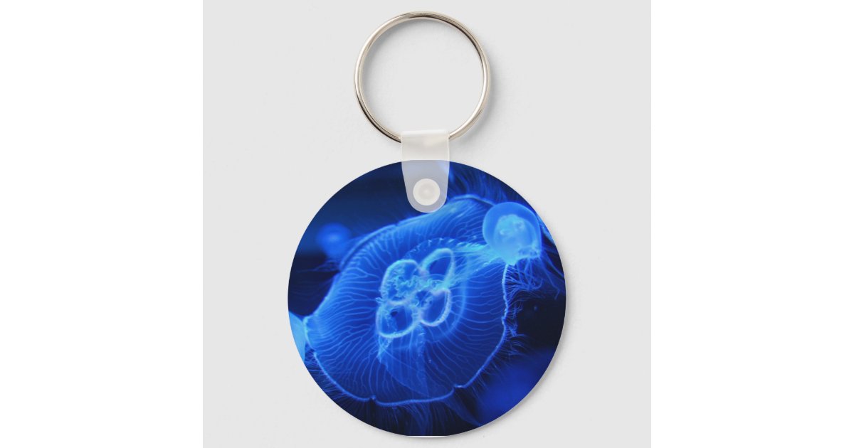 https://rlv.zcache.com/blue_neon_jellyfish_keychain-rce1ce47d5ee8426a94e2469941a79686_c01k3_630.jpg?rlvnet=1&view_padding=%5B285%2C0%2C285%2C0%5D