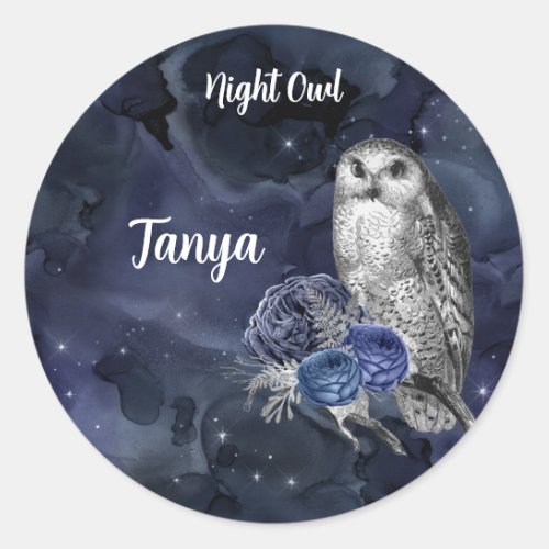 Blue Night Owl Classic Round Sticker