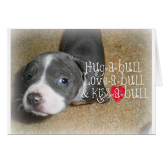 Blue Nose Hugs Cards