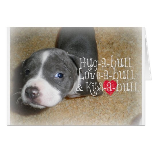 Blue Nose Hugs Cards (Front Horizontal)