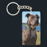 Blue Nose Keychain<br><div class="desc">Blue Nose Pitbull.</div>