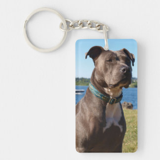 Blue Nose Keychain