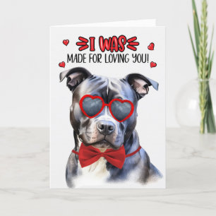 Blue Nose Pit Bull Dog Loving You Valentine Holiday Card