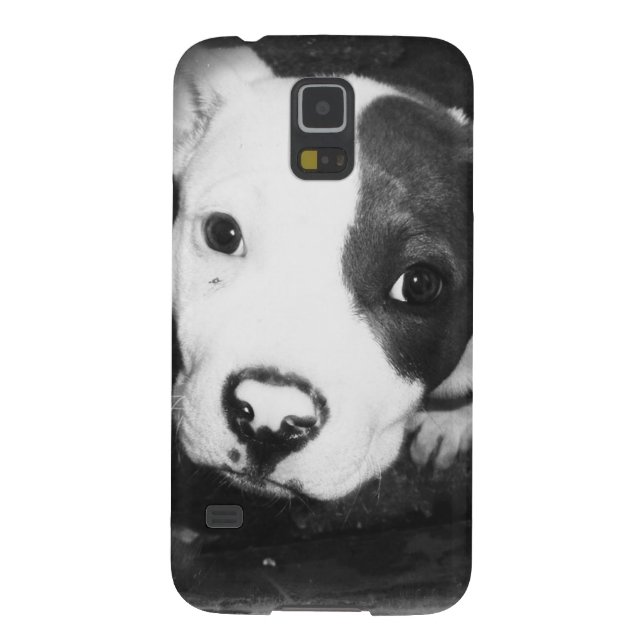 Blue Nose Pitbull Puppy Case-Mate Samsung Galaxy Case (Back)