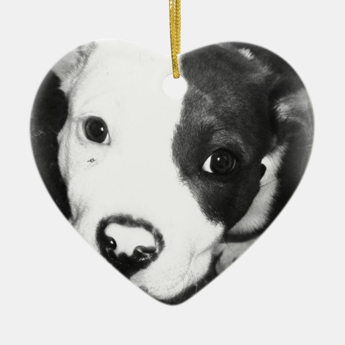 Blue Nose Pitbull Puppy Christmas Ornament
