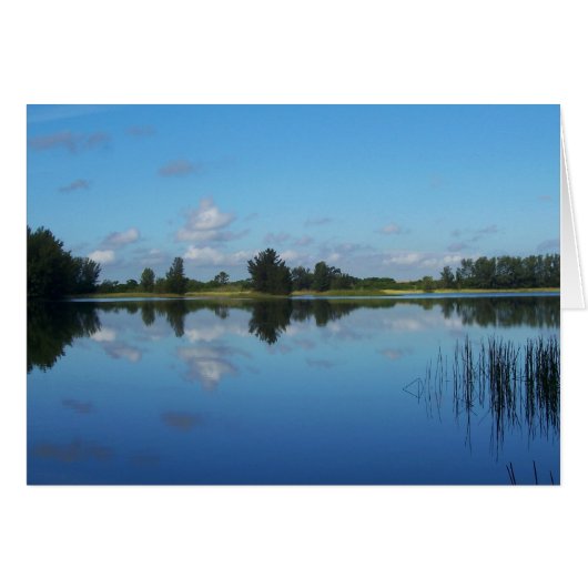 Blue on Blue (Front Horizontal)