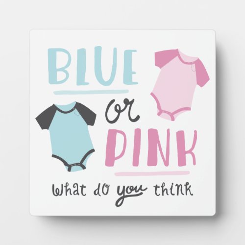 Blue or Pink Baby Gender Reveal Party Shower Plaque