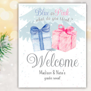 Blue or Pink What do you think Welcome Foam Board