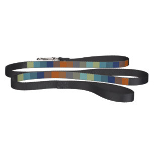 Blue, orange, green, yellow and gray stripes pet leash