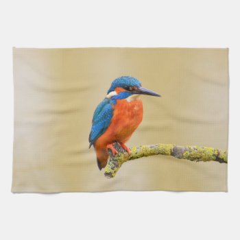 Blue Orange Kingfisher Bird Kitchen Towel by biutiful at Zazzle