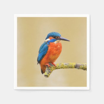 Blue Orange Kingfisher Bird Paper Napkins by biutiful at Zazzle