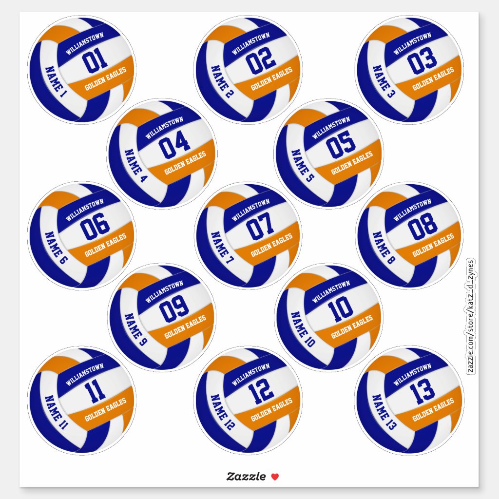 blue orange volleyball team colors players names stickers