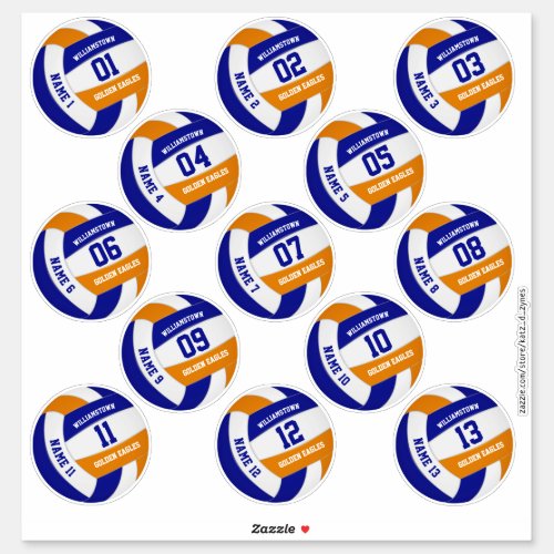 blue orange volleyball team colors players names sticker