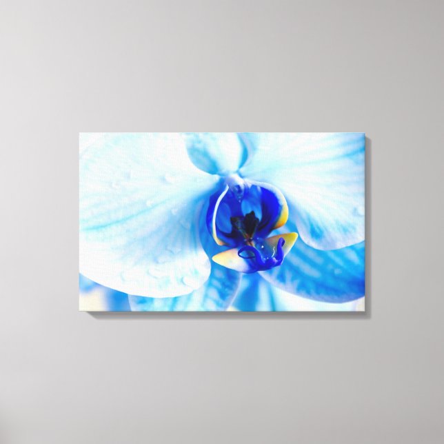 Blue Orchid Canvas Print (Front)