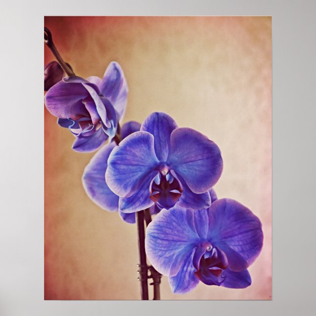 Blue Orchid Flower Photographic Art Print (Front)
