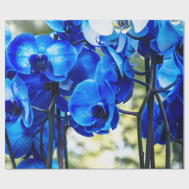 Blue orchid wrapping paper (Flat)