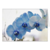 Blue Orchids (Front Horizontal)