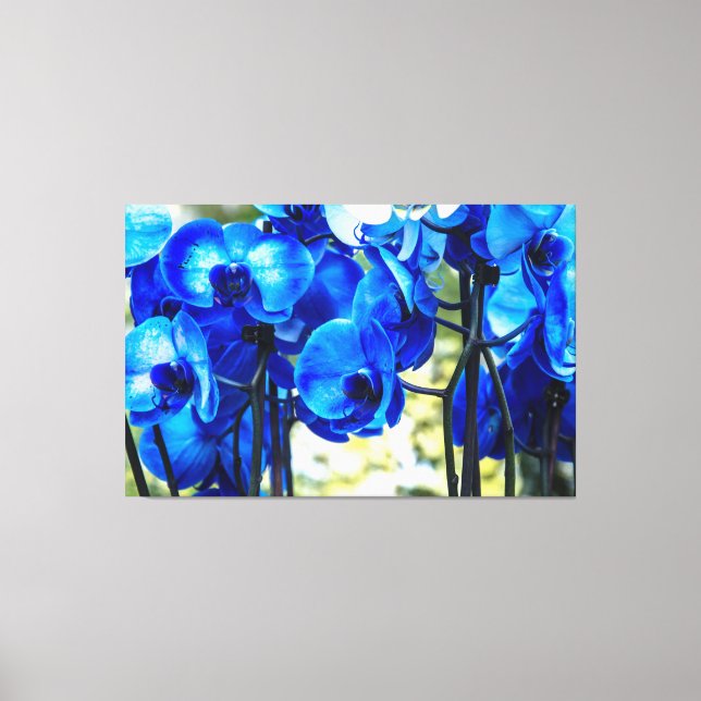 Blue orchids canvas print (Front)