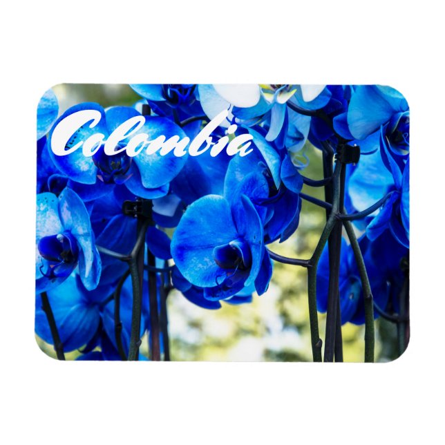 Blue orchids magnet (Horizontal)