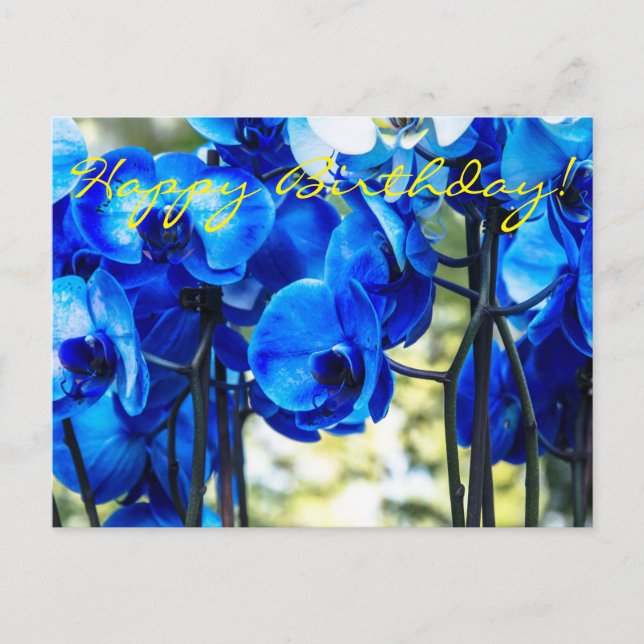 Blue orchids postcard (Front)