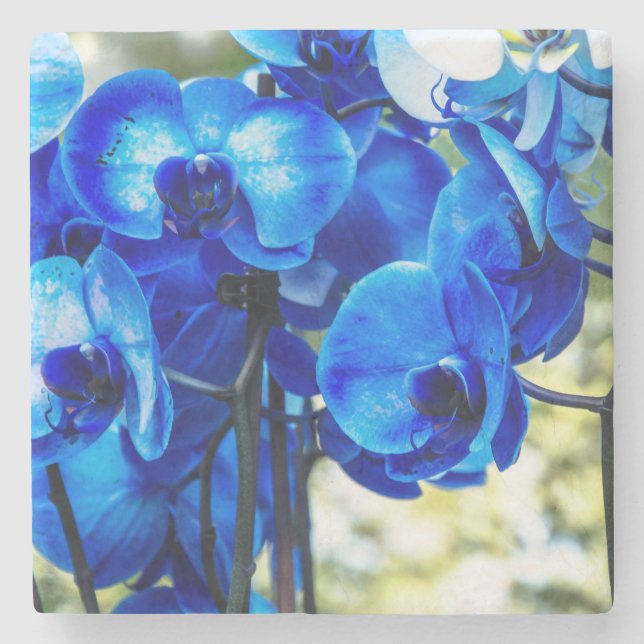 Blue orchids stone coaster (Front)
