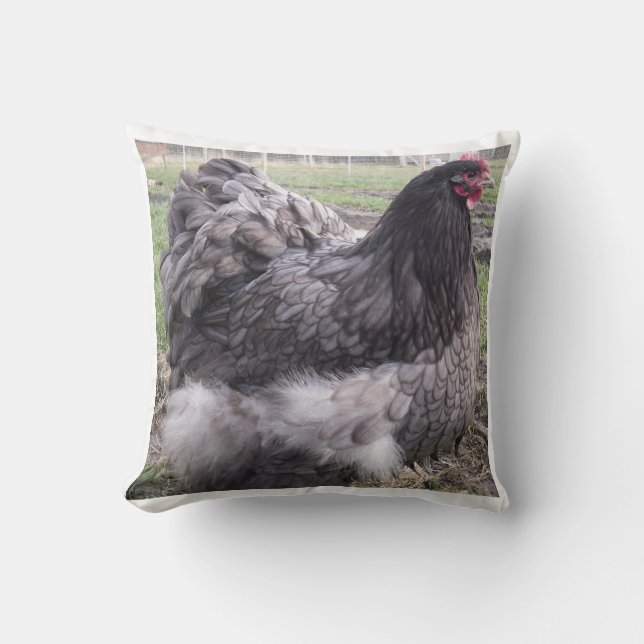 Blue Orpington Cushion, chicken, hen, rooster Throw Pillow (Front)