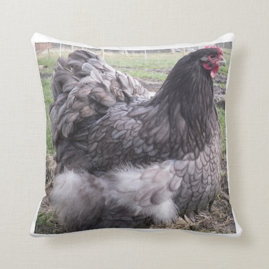 Blue Orpington Cushion Chicken Hen Rooster Throw Pillow