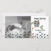 Blue Owl Baby (Front)